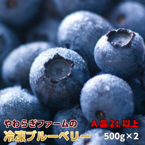 送料無料 ギフト 冷凍 ブルーベリー 1kg (500g×2) 贈答用 茨城県 産地直送 食物繊維 抗酸化作用 アントシアニン