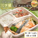 無添加冷凍弁当【ミシュラン三ツ星シェフのお試し4食 12食セット】新セット! 冷凍食品 ダイエット弁当 減塩 お弁当 冷凍 おかず 惣菜 宅配 弁当 保存食 低糖質 たんぱく質 ヘルシー 時短 簡単 高齢者 ご飯付き 栄養 人気 在宅 制限 野菜 カロリー えさきのおべんとう