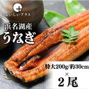 【三ツ星シェフが選ぶ!】浜名産うなぎ 特大1尾200g×2尾セット 4人前 特大サイズ約30センチ 長焼き 蒲焼き 鰻 脂たっぷり 無添加 冷凍 ギフト 国産 ...
