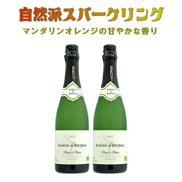 お歳暮 クリスマス オーガニックワイン オーガニック ワインセット ワイン おすすめ セット ギフト ス..