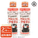 【コンパクト便 送料無料】白松 簡単!入れるだけ!マグネシウム含有食品 170ml × 2本 ( 340ml ) 熊本産 海水100% くまモン にがり 保健機...