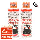 【コンパクト便 送料無料】白松 簡単！入れるだけ！マグネシウム含有食品 170ml × 2本 ( 3 ...