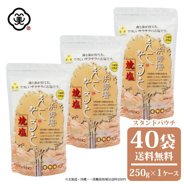 白松 浜御塩 (はまみしお) えこそると 焼塩 250g × 1ケース(40袋) スタンドパウチ さらさらタイプ しお 食塩 海水 (長崎県対馬産) 国内産 平釜塩 バイオマスエネルギー お塩 自然食品