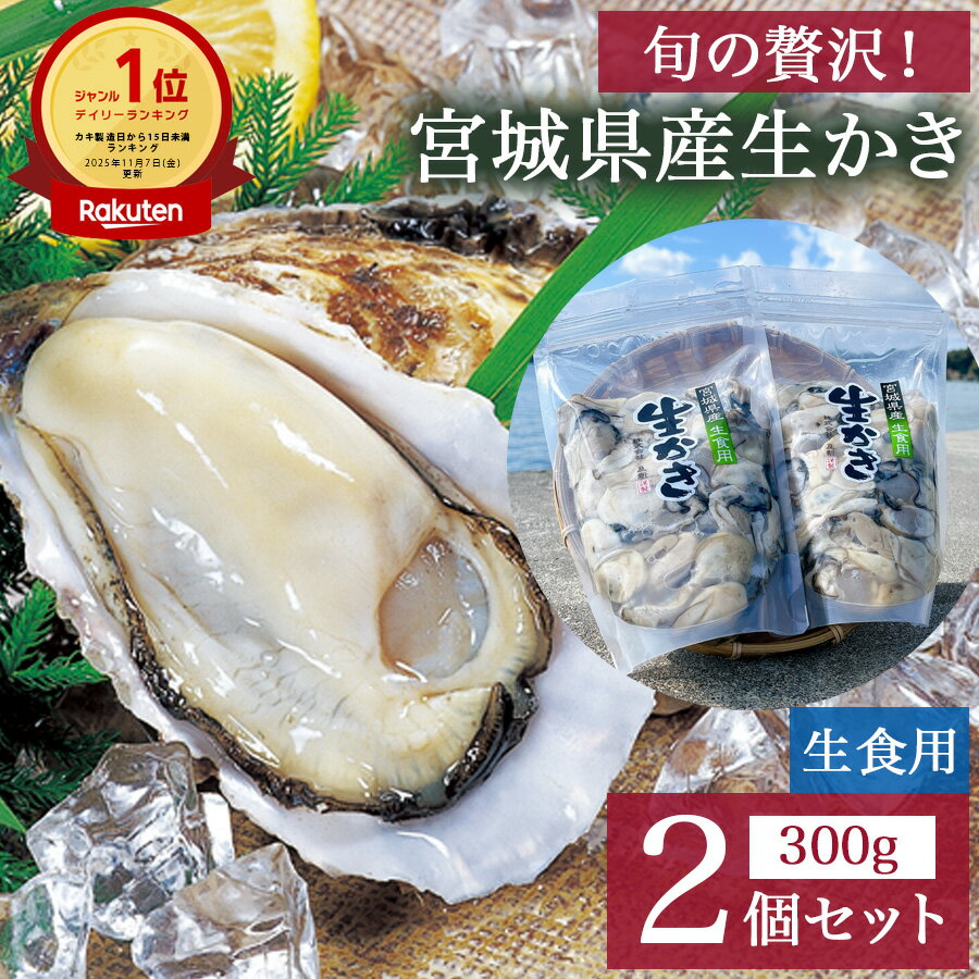 宮城県産 生かき 生食用牡蠣 むき身 600gセット(冷蔵配送) 牡蠣 冷蔵 ふるさと納税 人気 生食 生食用 カンカン焼き 取り寄せ あたらな オイル オイル漬け お取り寄せ 瓶 国産 食べ比べ 定期 広島牡蠣にも負けない美味しさ 宮城県 蒸し かき カキ【11月~2月】