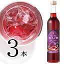 フルーツビネガー ブルーベリー 日本自然発酵 500ml×3本酢 お酢 フルーツビネガー 飲む酢 果実酢