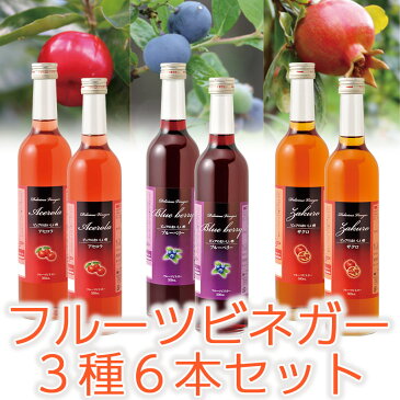 フルーツビネガーおいしい酢ザクロ・ブルーベリー・アセロラ6本セット【飲む酢】【果実酢】【RCP】