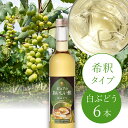 ピュアのおいしい酢 白ぶどう 500ml×6本フルーツビネガー 酢 お酢 飲む酢 果実酢 料理 炭酸割り 牛乳割り 日本自然発酵