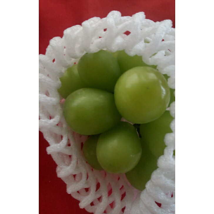 お試し少量セット 愛知県産蒲郡ミカン シャインマスカットクール便でお送りします。のサムネイル