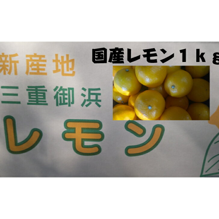 レモン 国産1kg 大きいレモン 丸いレモン 果汁たっぷり　三重県産 希少 御浜町 1kg 2月末までのサムネイル