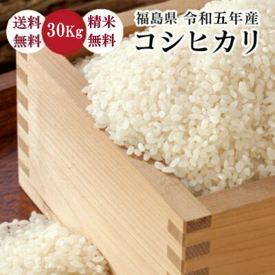 コシヒカリ　玄米No.22
