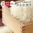 米 30Kg 送料無料 無洗米【福島県産コシヒカリ 30Kg】お米 玄米 白米 こめ コメ 精米 令和六年産 《北海道・九州・沖縄・離島は送料無料ライン対象外》