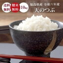米 10Kg 送料無料 無洗米【福島県産 天のつぶ 10Kg】お米 玄米 白米 こめ コメ 精米 令和六年産《沖縄・離島は送料無料ライン対象外》