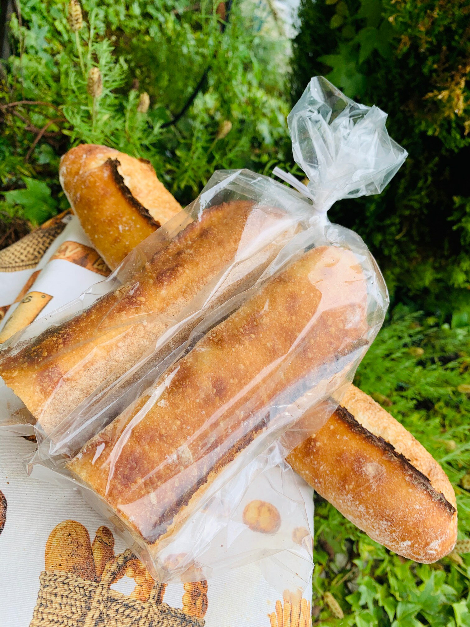 ブレッツェル５個とバゲット２本入りセット お買い得モデル