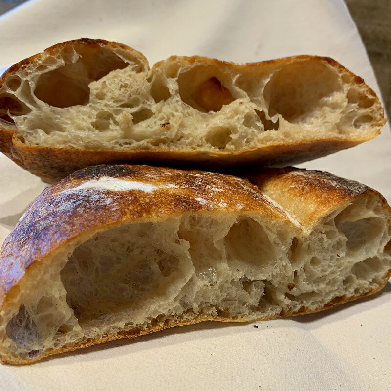 ロデブの断面