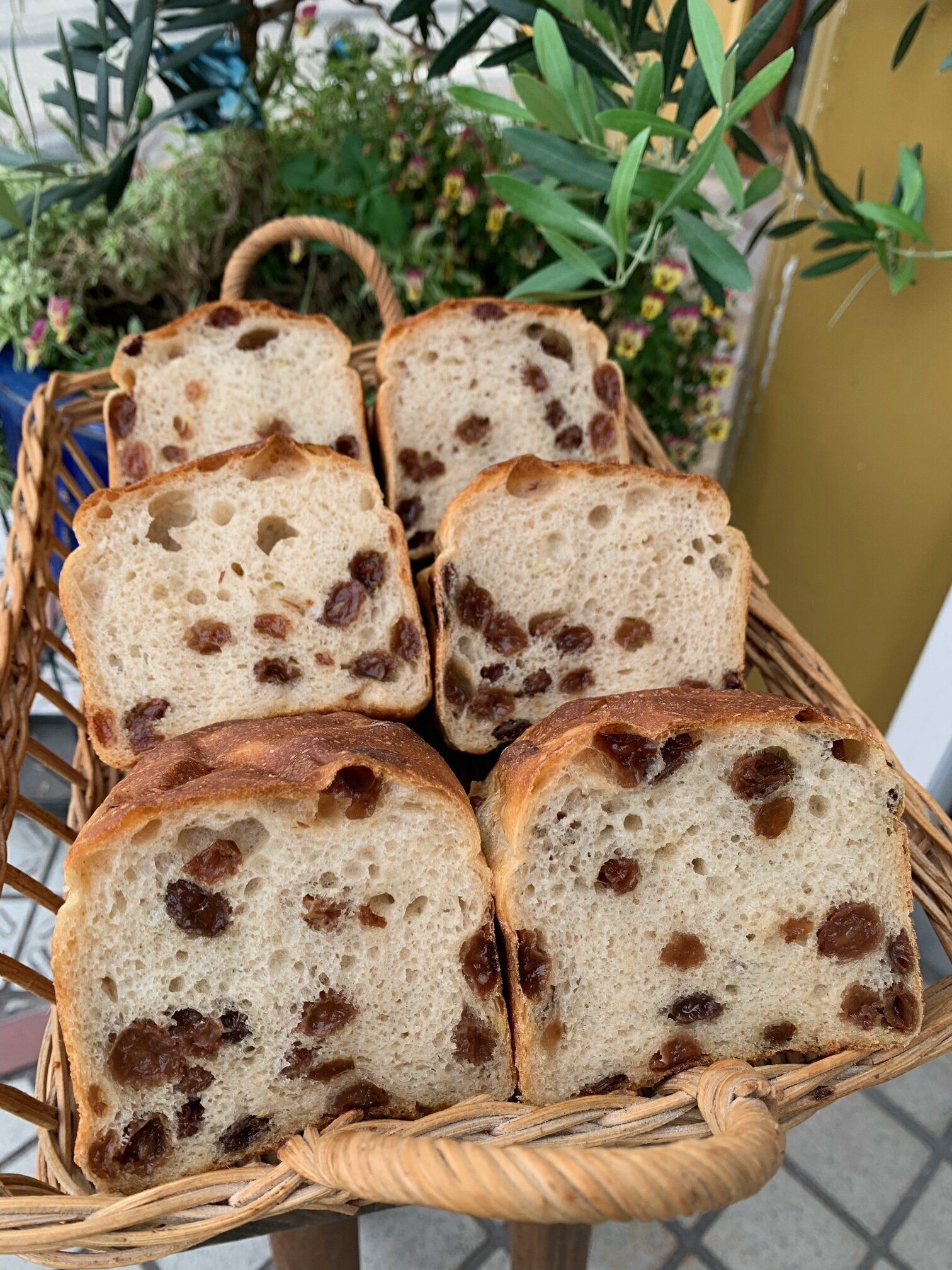 もっちり無塩レーズン食パン（小型斤ハーフサイズ6個セット）