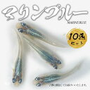 マリンブルー 成魚 10匹 めだか 送料無料 改良メダカ 横見 上見 観賞魚 初心者 品種 種類 セット 人気 ビオトープ 生体 観賞魚 販売 初心者 人気 水槽 飼育 セット 餌 容器 種類 ヒーター 室内 屋外 旧店舗名：おおいた水辺のラボ