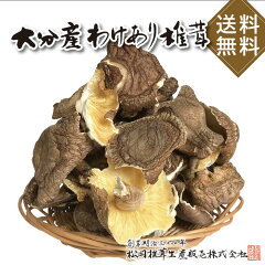 https://thumbnail.image.rakuten.co.jp/@0_mall/oita-shiitake/cabinet/01390069/01393090/imgrc0090932474.jpg