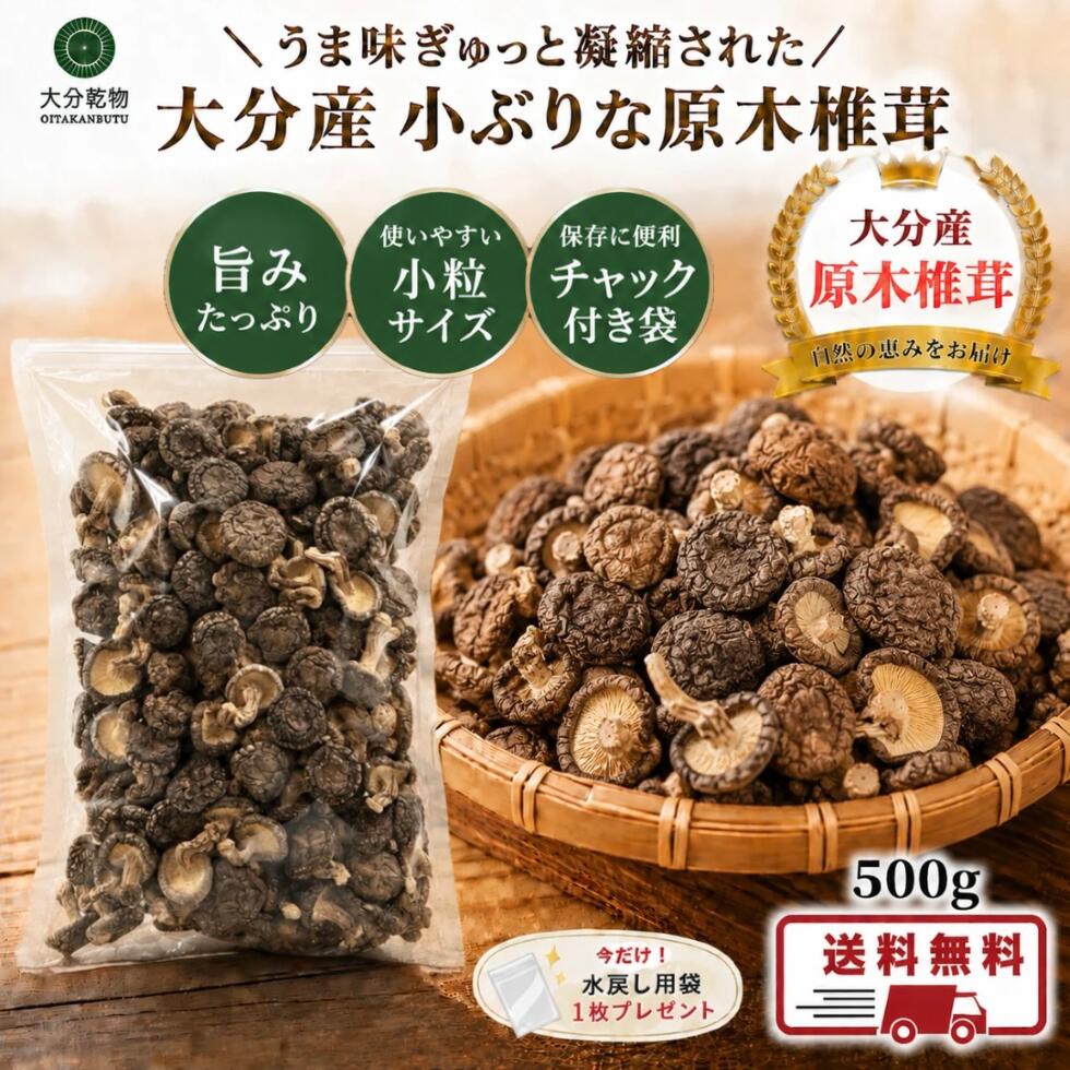 干し椎茸 しいたけ問屋メーカー直販価格 産地直送 大分産 原木 小ぶりな椎茸 500g しいたけ 干ししいたけ 無農薬 小ぶり 一口サイズ 徳用 訳あり わけあり 送料無料 戻し袋付 茶碗蒸し 筑前煮 お弁当 大分乾物 乾物 国産 健康食材