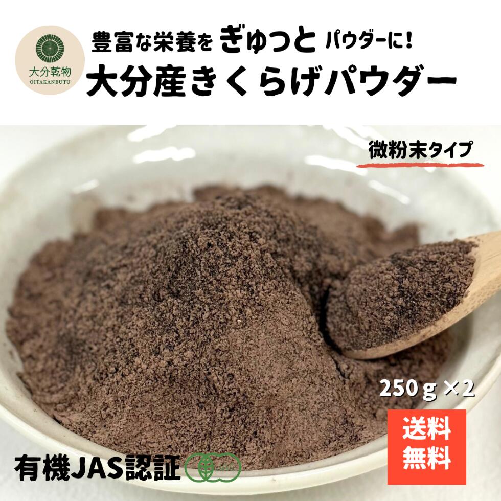 生産者直販価格 産地直送 大分産 有機 きくらげパウダー 250g×2 微粉末タイプ きくらげ粉末 粉末きくら..