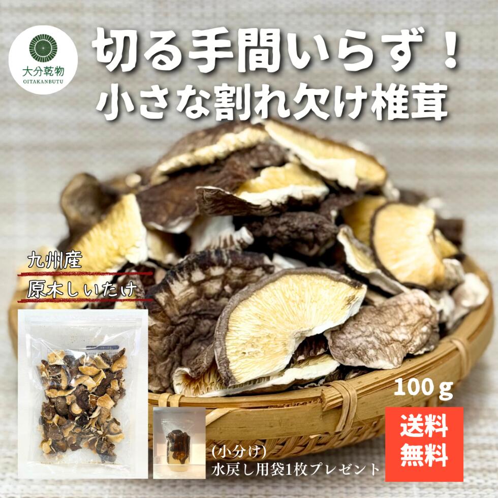 しいたけ問屋メーカー直販価格 産地直送 干し椎茸 九州産 原木 小さな割れ欠け 100g 訳あり わけあり チャック袋 しいたけ 椎茸 干ししいたけ 送料無料 ...