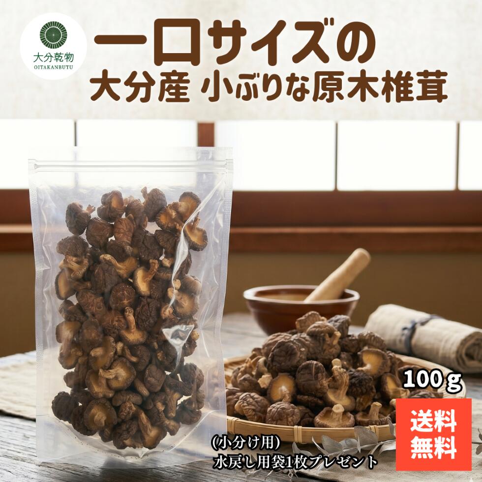 干し椎茸 しいたけ問屋メーカー直販価格 産地直送 大分産 原木 小ぶりな椎茸 100g しいたけ 干ししいたけ 無農薬 小ぶり 一口サイズ 徳用 訳あり わけあり 送料無料 戻し袋付 茶碗蒸し 筑前煮 お弁当 大分乾物 乾物 国産 健康食材（楽天・大分乾物　楽天市場店）