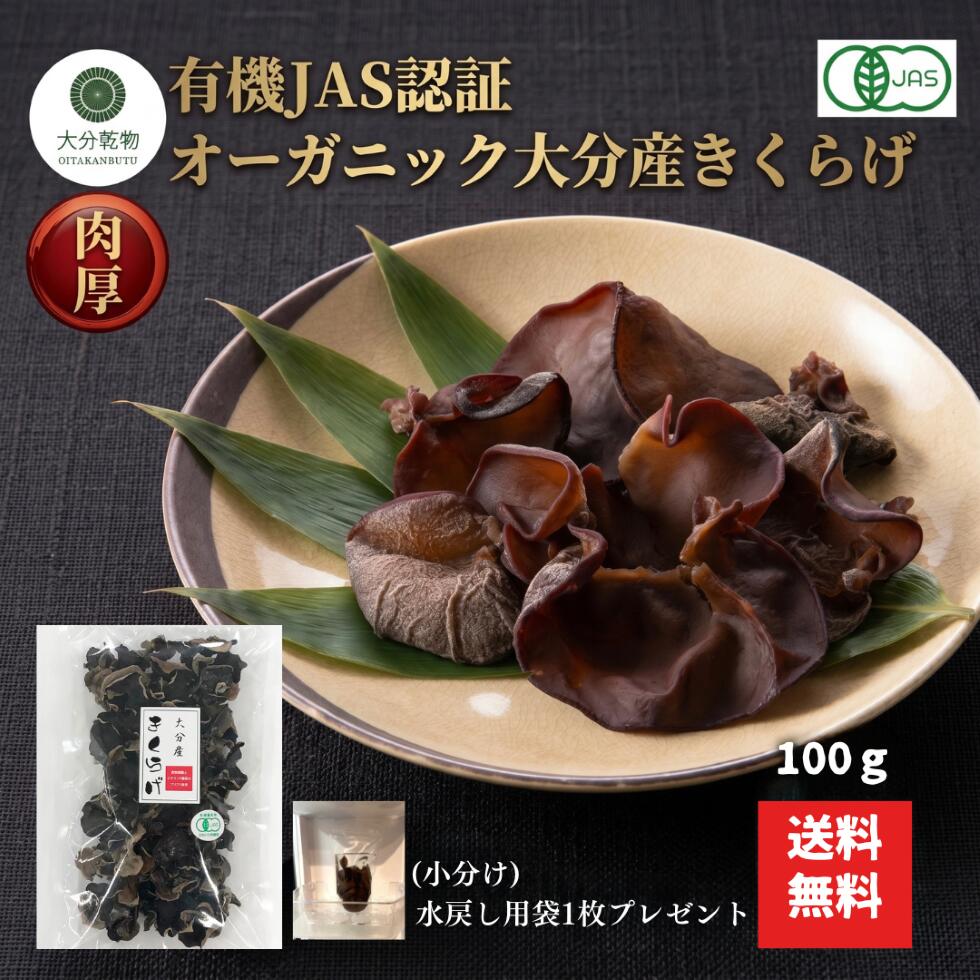 Other - 生産者直販価格 産地直送 大分産 有機 きくらげ 100g 有機栽培 無農薬 オーガニック きくらげ有機 肉厚 戻し袋付 送料無料 産地直送 大分乾物 乾物 国産 健康食材