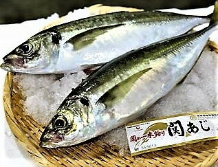 夏は 関アジ が旬、佐多岬 天然一本釣り の 新鮮な 関さば or 関アジ の厚切り 刺身盛り ★★★ ギフト に最適商品 送料無料