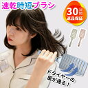 【レビューで1年保証】速乾ブラシ 速乾 ヘアブラシ ドライヤー ウェットブラシ 時短 絡まない 頭皮 マッサージ 頭皮ブラシ ヘッドスパブラシ 櫛 くし ヘアー...