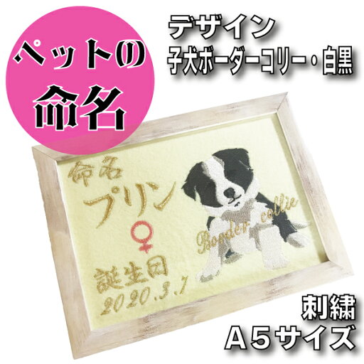 【 ボーダーコリー の 子犬 ペット の 命名刺繍 】犬 ワン ちゃん 猫 オーナー 飼いはじめ お名前 決まりました お知らせ 選べる 内容 かわいい 祝い 額 縁 激安 出産 こどもの日 豪華 妊娠 プレゼント 贈り物 仔犬 赤ちゃん 準備 人気 安い生地 【 ボーダーコリー の 子犬 ペット の 命名刺繍 】犬 ワン ちゃん 猫 オーナー 飼いはじめ お名前 決まりました お知らせ 選べる 内容 かわいい 祝い 額 縁 激安 出産 こどもの日 豪華 妊娠 プレゼント 贈り物 仔犬 赤ちゃん 準備 人気 安い生地