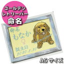 【 ゴールデンレトリーバー の 子犬 ペット の 命名刺繍 】犬 ワン ちゃん 猫 オーナー 飼いはじめ お名前 決まりました お知らせ 選べる 内容 かわいい...