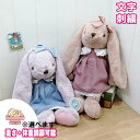 【60cm】【 体重 うさぎ 重さ 調節 刺繍 】生まれた時の重さと一緒同じ 名前 出生 誕生 日 入り 足裏 プレゼント 贈り物 出産 祝い 可愛い 高級 品...