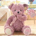 【50cm】【合皮ピンク肉球】【 刺繍のみ 】 メモリアル テディ ベアー お 名前 出生 誕生 日くま 入り 足裏 足跡 プレゼント 贈り物 出産 祝い 可愛...