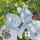 【48cm】【 体重 ロリータ ベア ウサギ 重さ 調節 刺繍 】生まれた時の重さと一緒同じテディ ベアー お 名前 出生 誕生 日 くま さん 入り 足裏 足...
