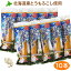 北海道産 まるごとポップコーン(10本セット)/北海道/グルメ/お家でポップコーン 好きな味にアレンジ