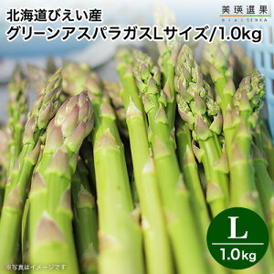 美瑛 アスパラガス びえい産 ｜北海道 美瑛産 露地グリーン アスパラ ＜ Lサイズ/1kg(500g×2)＞【5月中旬より順次出荷開始予定】美瑛選果 北海道 お取り寄せ（クール便）新鮮 産地直送