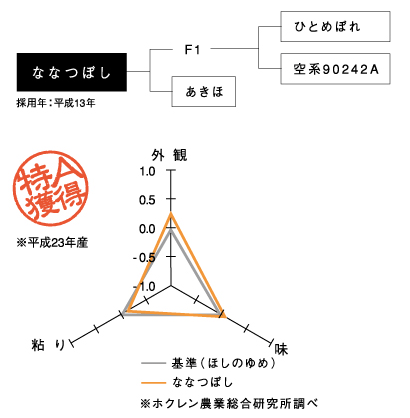 ＼新米/ 令和5年産 5kg|北海道産 北海道...の紹介画像2