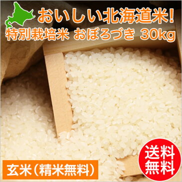 【新米 30年産】北海道米 特別栽培米 おぼろづき（玄米30kg/精米無料）北海道米/減農薬