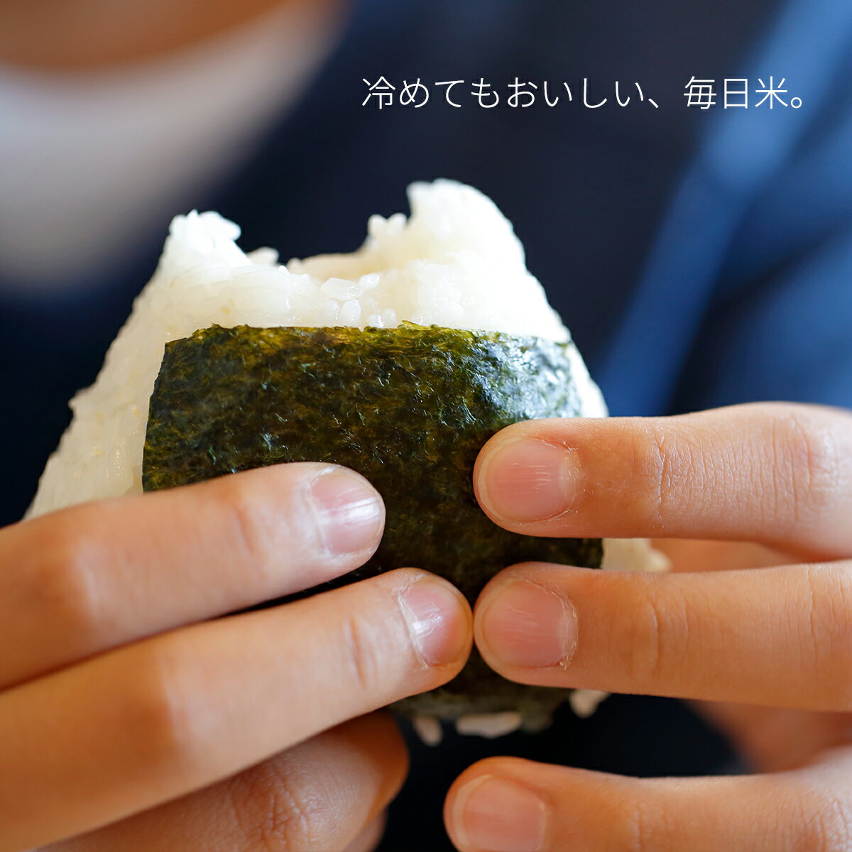 新米！ 令和7年 米 5kg 送料無料 お米 5kg｜北海道米 特別栽培米 あやひめ＜白米＞ 5kg｜自家用｜お米 新米 特A 白米5kg 5キロ 送料無料 米