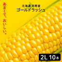 【7/22 8;59までポイント5倍】北海道 名寄産 スイートコーン ギフト ゴールドラッシュ<2L> 10本入り|クール便|8月中旬〜下旬より出荷予定|8月中旬〜下旬より出荷予定|とうきび とうもろこし 北海道産 なよろ イエローコーン(4)
