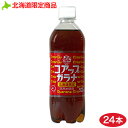 コアップガラナ 500ml×24本/北海道限定/北海道民の定番！