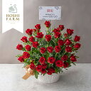 内祝 スイーツ ギフト|ホシファーム 薔薇の御祝アレンジメント ルージュ(FMV-01C)|代引不可