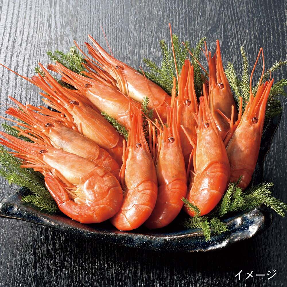 北海道 グルメ ギフト|丸高水産厚岸産北海しまえび300g(ボイル)||代引不可|北海道 産直 お取り寄せ 取寄 お土産 おみやげ