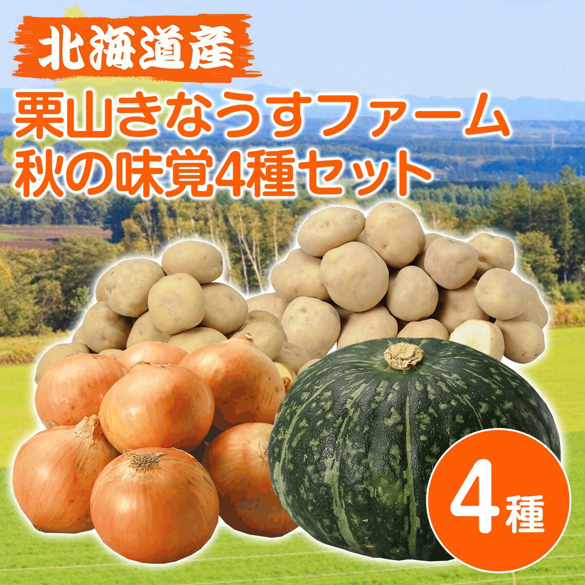 北海道 グルメ｜北海道産 秋の味覚4種セット＜じゃがいも(メークイン/男爵) 各3kg、玉ねぎ 3kg、かぼちゃ 1個＞｜代引不可｜配達日時指定不可｜北海道 いもたま ギフト 野菜セット｜10月中旬より発送予定のサムネイル