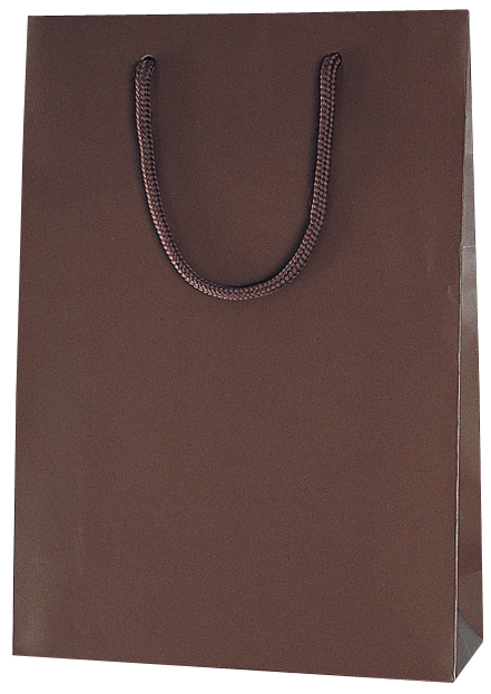 【同梱専用】カタログギフト用手提げ袋<カタログギフトご購入のお客様専用>