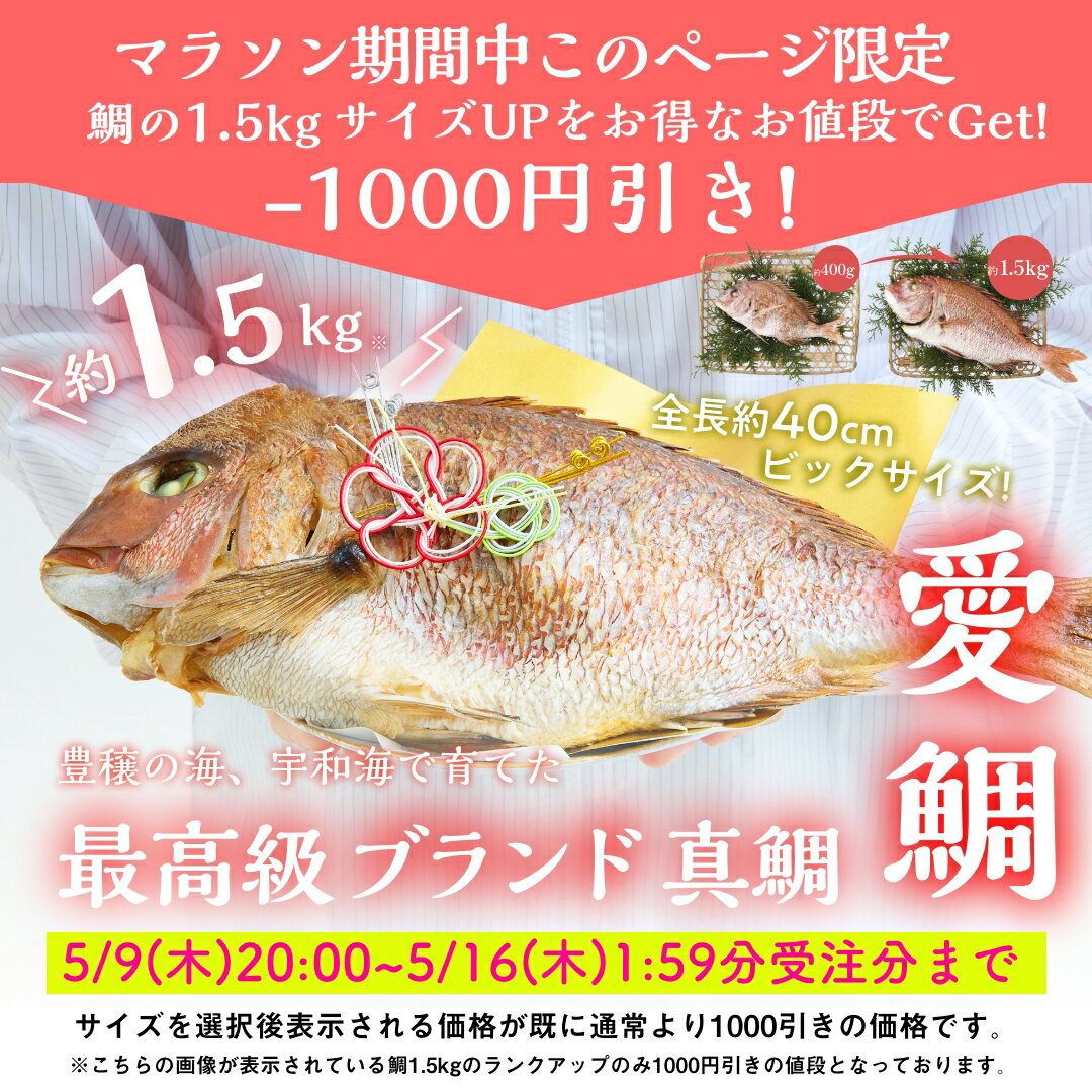 【マラソン期間限定 鯛サイズUP1000円引き】《楽天1位3冠!累計30万食突破の専門店》お食い初め料理セット 使い切り食器付き【伊勢神宮外宮奉納 お食い初め膳 -爛々-】立て札名入れオプション 食器不要・盛付済のお食い初めセット 国産天然真鯛 歯固め 2