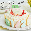 ハーフバースデー ケーキ 5号 15cm 4~6人分 6ヶ月 誕生日 アイシングクッキー付デコレーションケーキ 誕生日ケーキ 誕生日プレゼント バースデー アイシングクッキー 男の子 女の子 スマッシュ ケーキスマッシュ