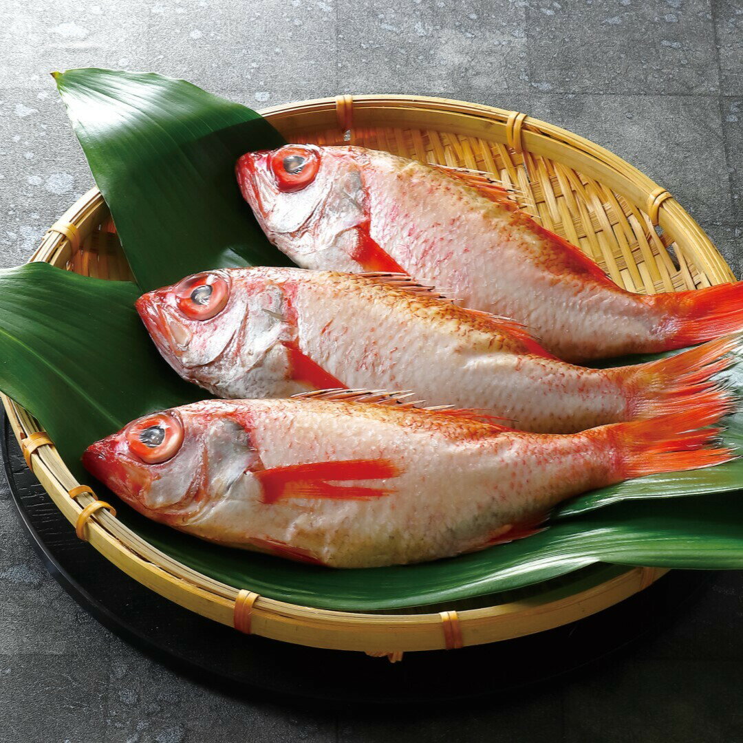 焼き・煮付け用 のどくろ（姿） 山陰沖 のどくろ のどぐろ ノドグロ 焼き 煮付け 焼魚 塩焼き ふっくら 下処理済 魚介類 魚貝類 加熱用 冷凍 グルメ ギフト 中元 歳暮 お取り寄せ 詰め合わせ 人気 おすすめ ランキング ※代引不可