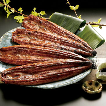 九州産 うなぎの蒲焼 　※代引不可