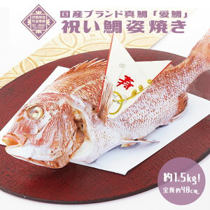 【鯛の姿焼き】縁起の良いご馳走！食卓を飾る尾頭付きの鯛のおすすめは？