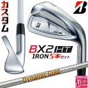 メーカーカスタムクラブ ブリヂストン ゴルフ BX2HT アイアン 5本セット(#6-PW) 右用 Dynamic Gold 120 スチールシャフト 2025